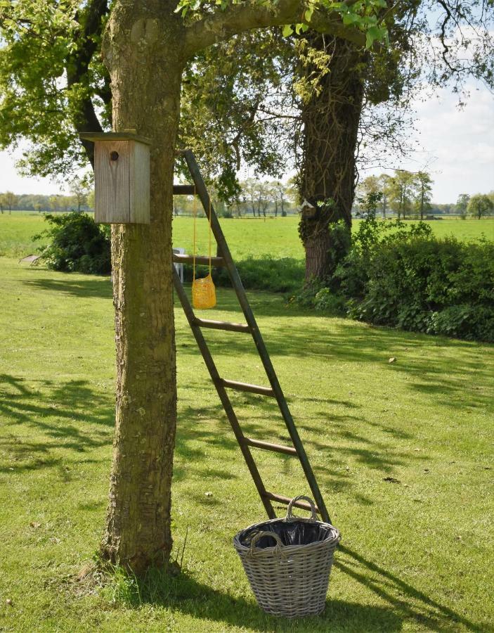 De Beddestee Ruinen Kültér fotó